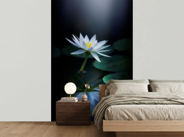 photo-wallpaper-reflection-iii