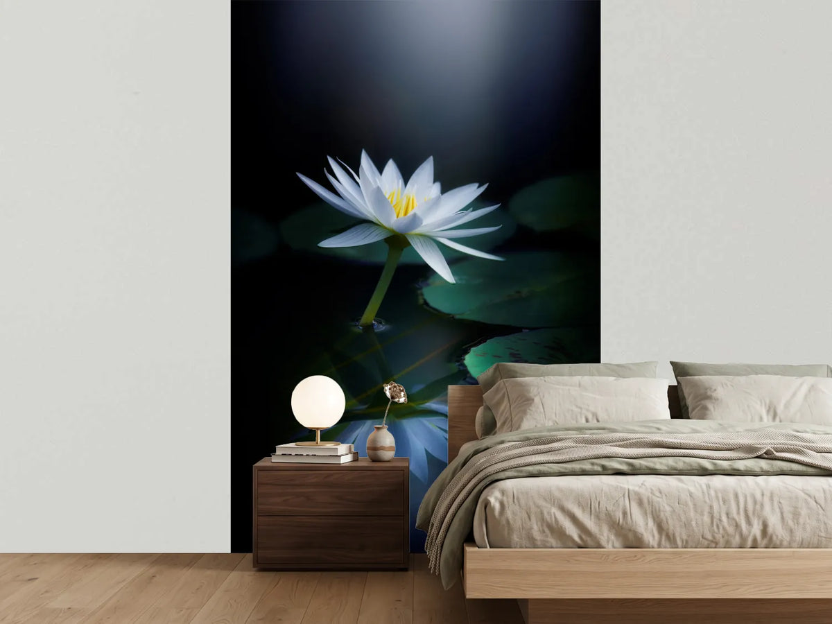 photo-wallpaper-reflection-iii