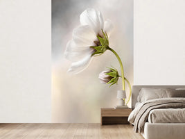 photo-wallpaper-heavenly-cosmos