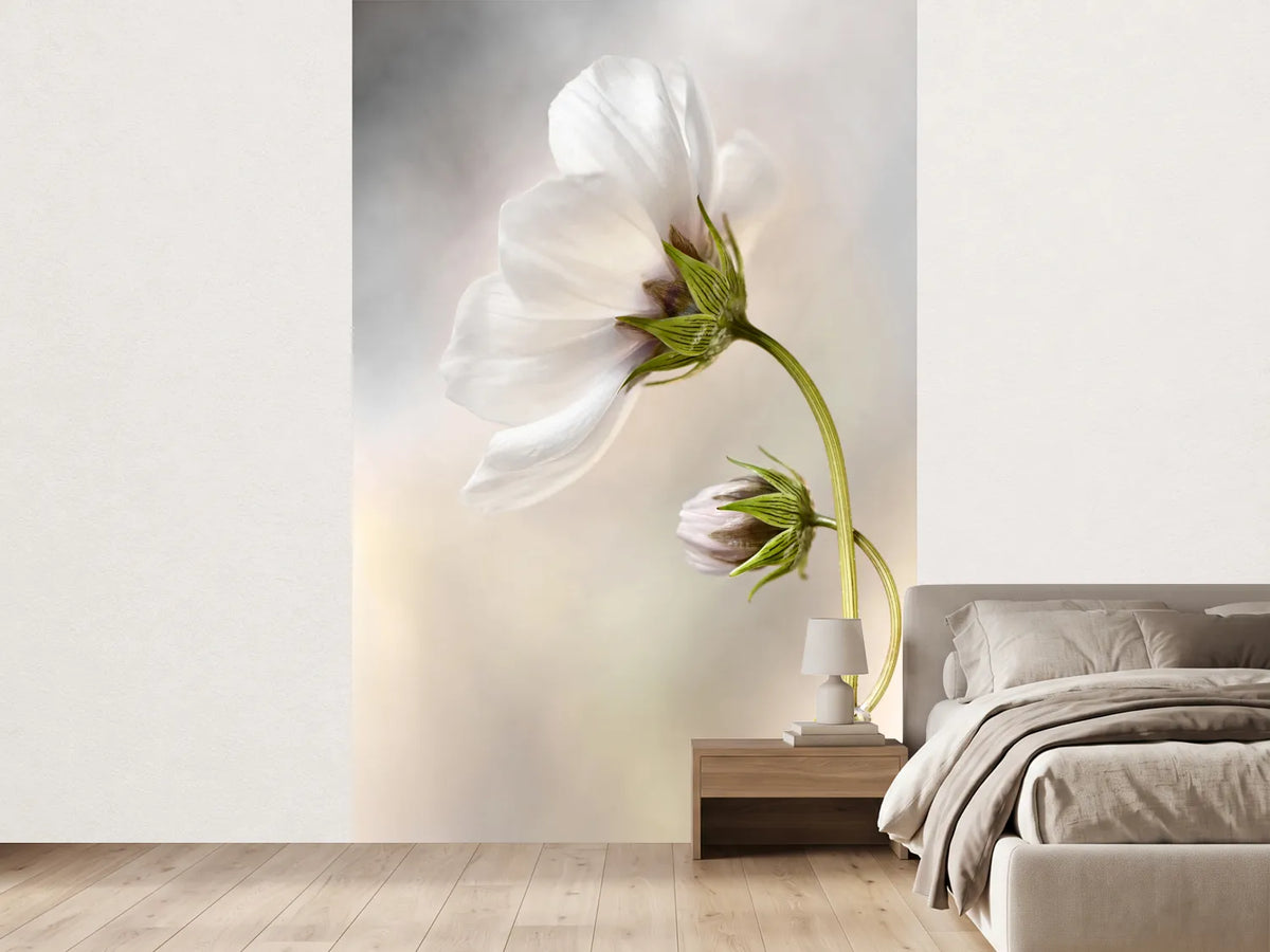 photo-wallpaper-heavenly-cosmos