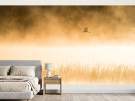 photo-wallpaper-golden-morning-flight