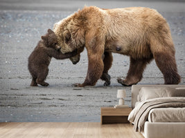 photo-wallpaper-a-little-bear-hug