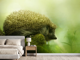 photo-wallpaper-hedgehog-x