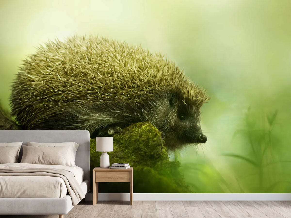 photo-wallpaper-hedgehog-x