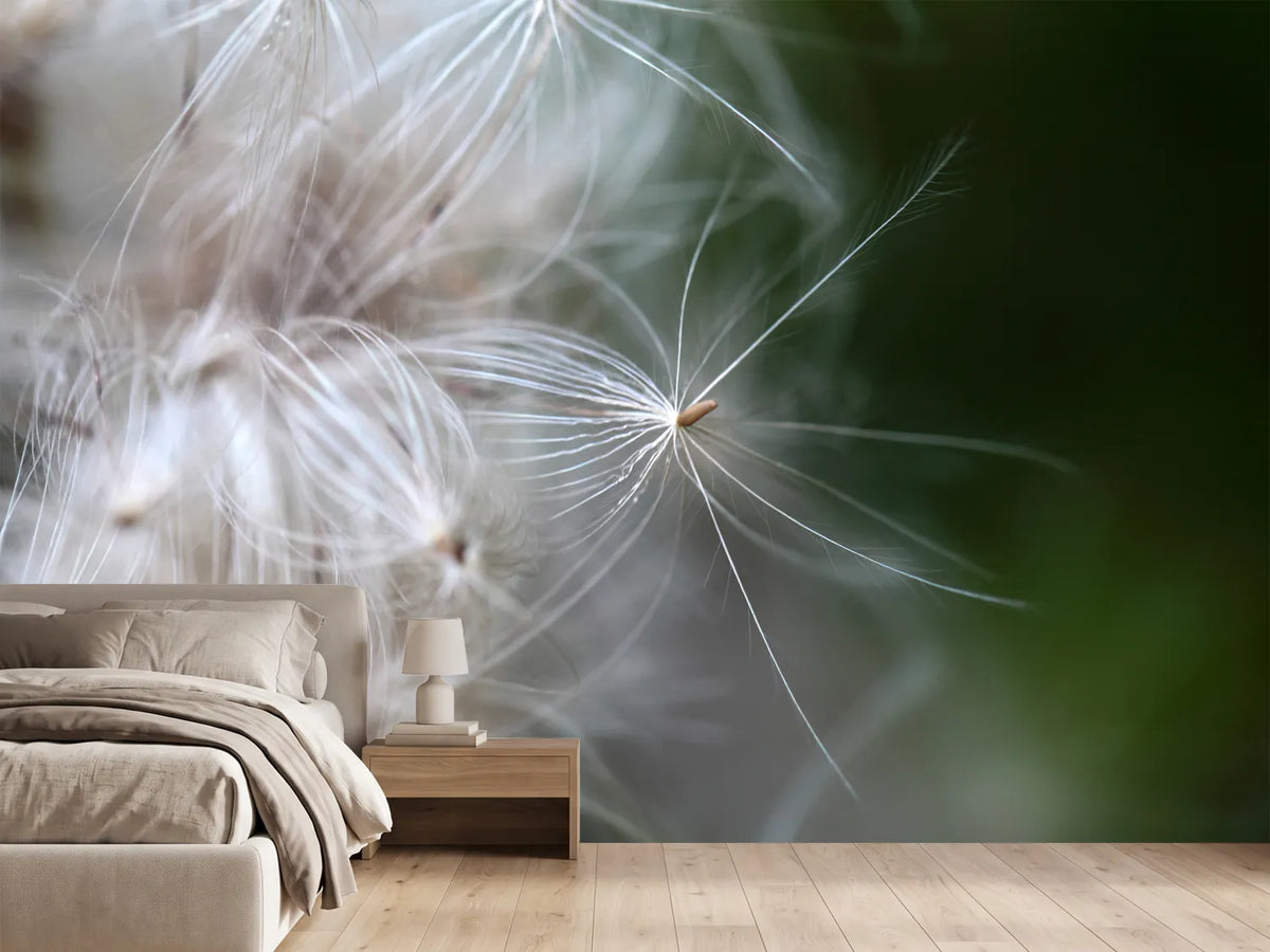 photo-wallpaper-close-up-flowers-fibers