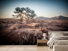 photo-wallpaper-longing-africa