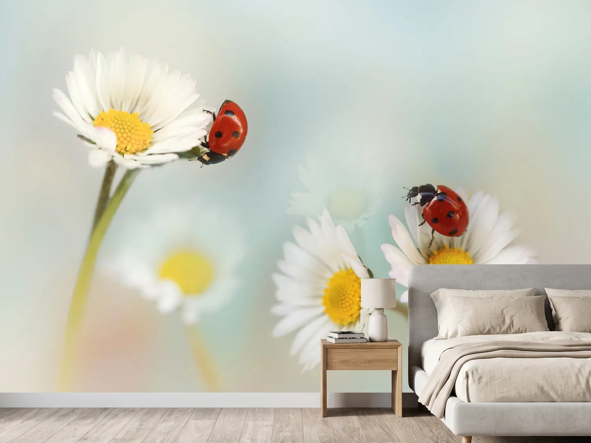 photo-wallpaper-springtime-xtp