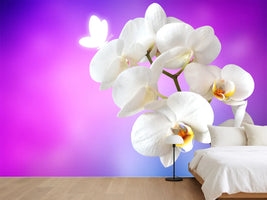 photo-wallpaper-flower-power-orchid