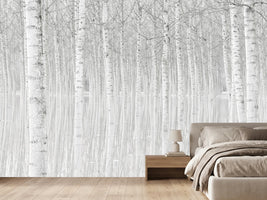 photo-wallpaper-trees
