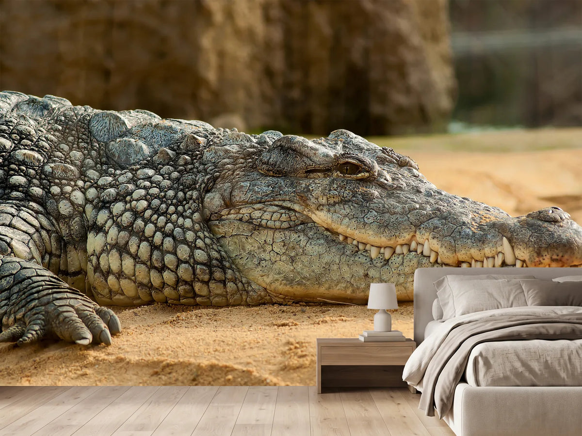 photo-wallpaper-the-nile-crocodile
