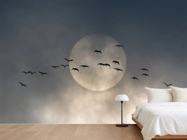 photo-wallpaper-flock-against-glowing-sun