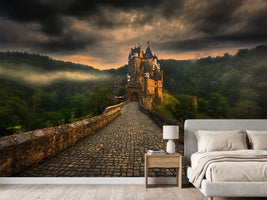 photo-wallpaper-eltz