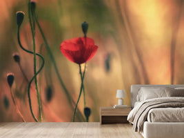photo-wallpaper-untitled-xxviii