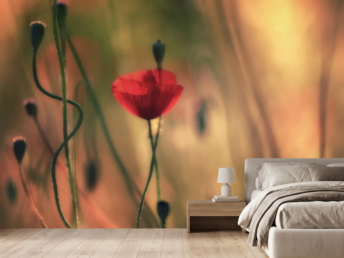 photo-wallpaper-untitled-xxviii