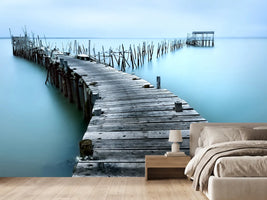 photo-wallpaper-carrasqueira-ii