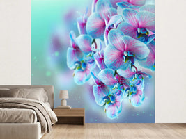 photo-wallpaper-colored-orchids