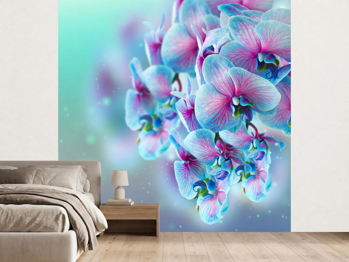 photo-wallpaper-colored-orchids