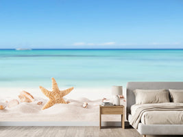 photo-wallpaper-summer-beach-with-strafish-and-shells