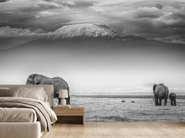 photo-wallpaper-the-land-of-giants-x