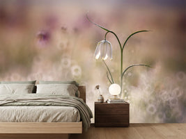 photo-wallpaper-albino-x
