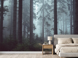 photo-wallpaper-forest-in-the-fog