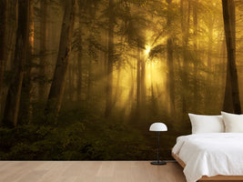 photo-wallpaper-yellow-the-bigger-picture