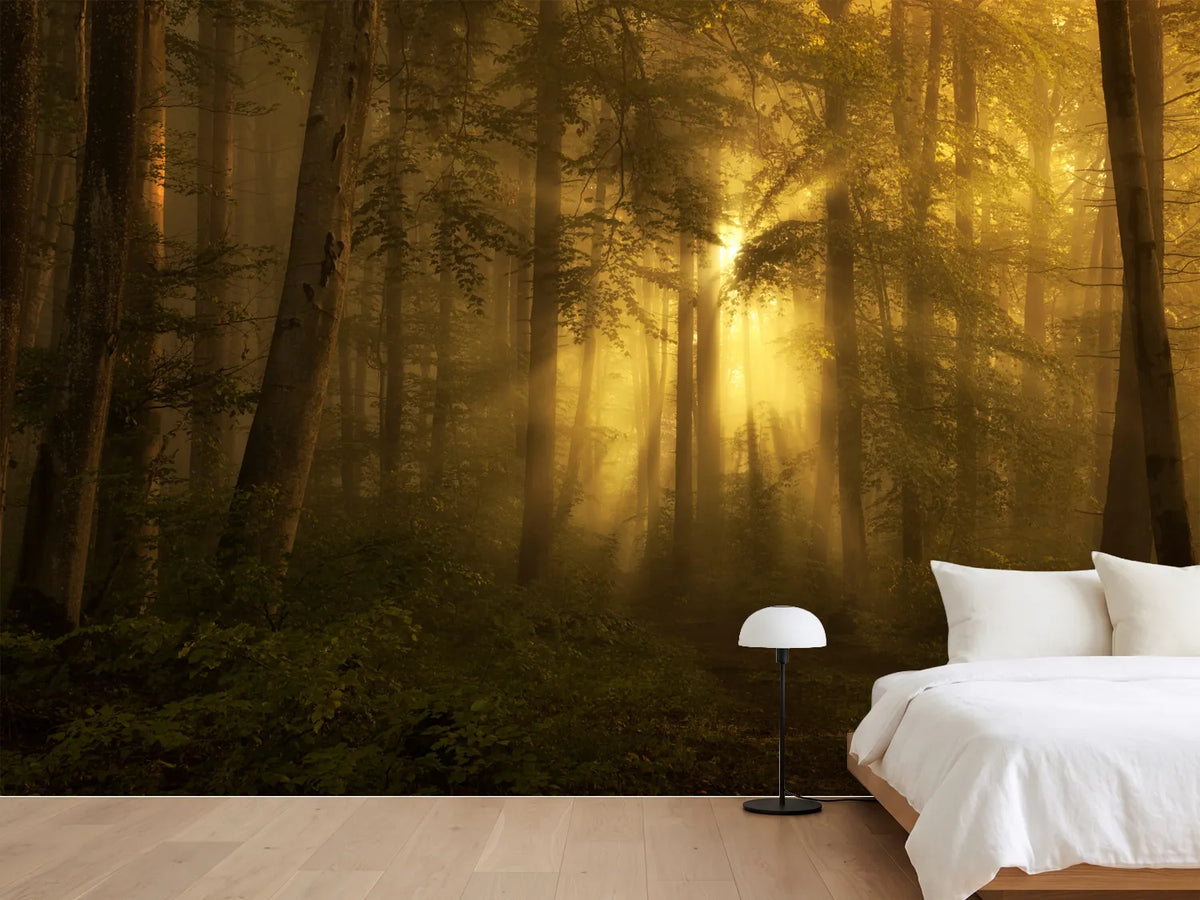 photo-wallpaper-yellow-the-bigger-picture