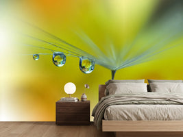 photo-wallpaper-sunbeam-iii