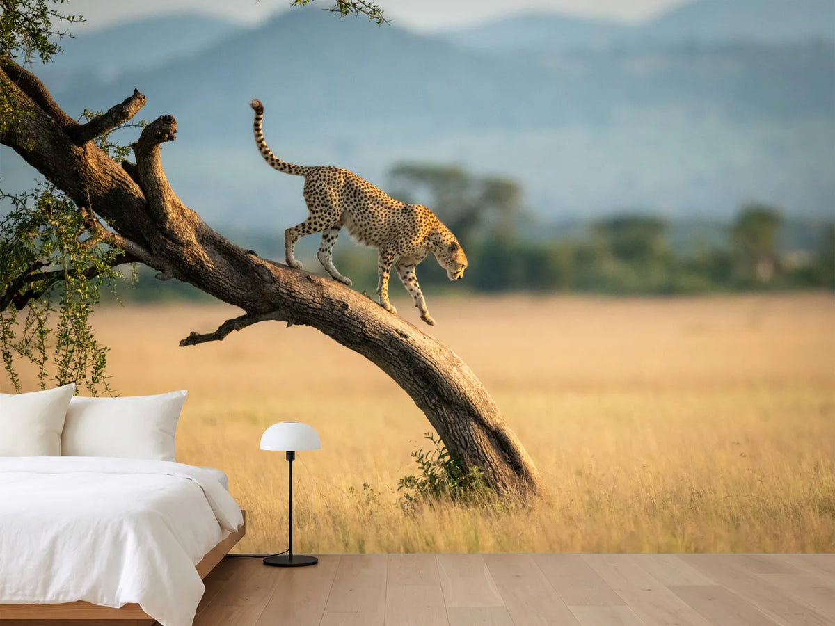 photo-wallpaper-cheetah-walks-down-twisted-tree-in-savannah