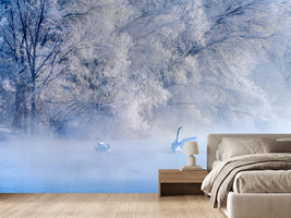 photo-wallpaper-swan-lake-x