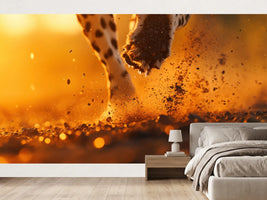 photo-wallpaper-cheetah-paw-kicking-up-dust-in-golden-backlight