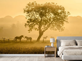 photo-wallpaper-golden-horses-x