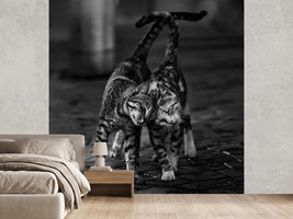 photo-wallpaper-untitled-xmc