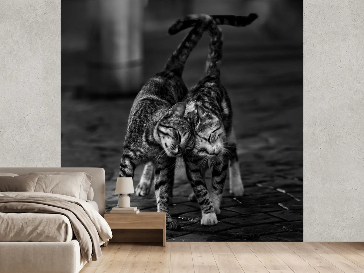 photo-wallpaper-untitled-xmc