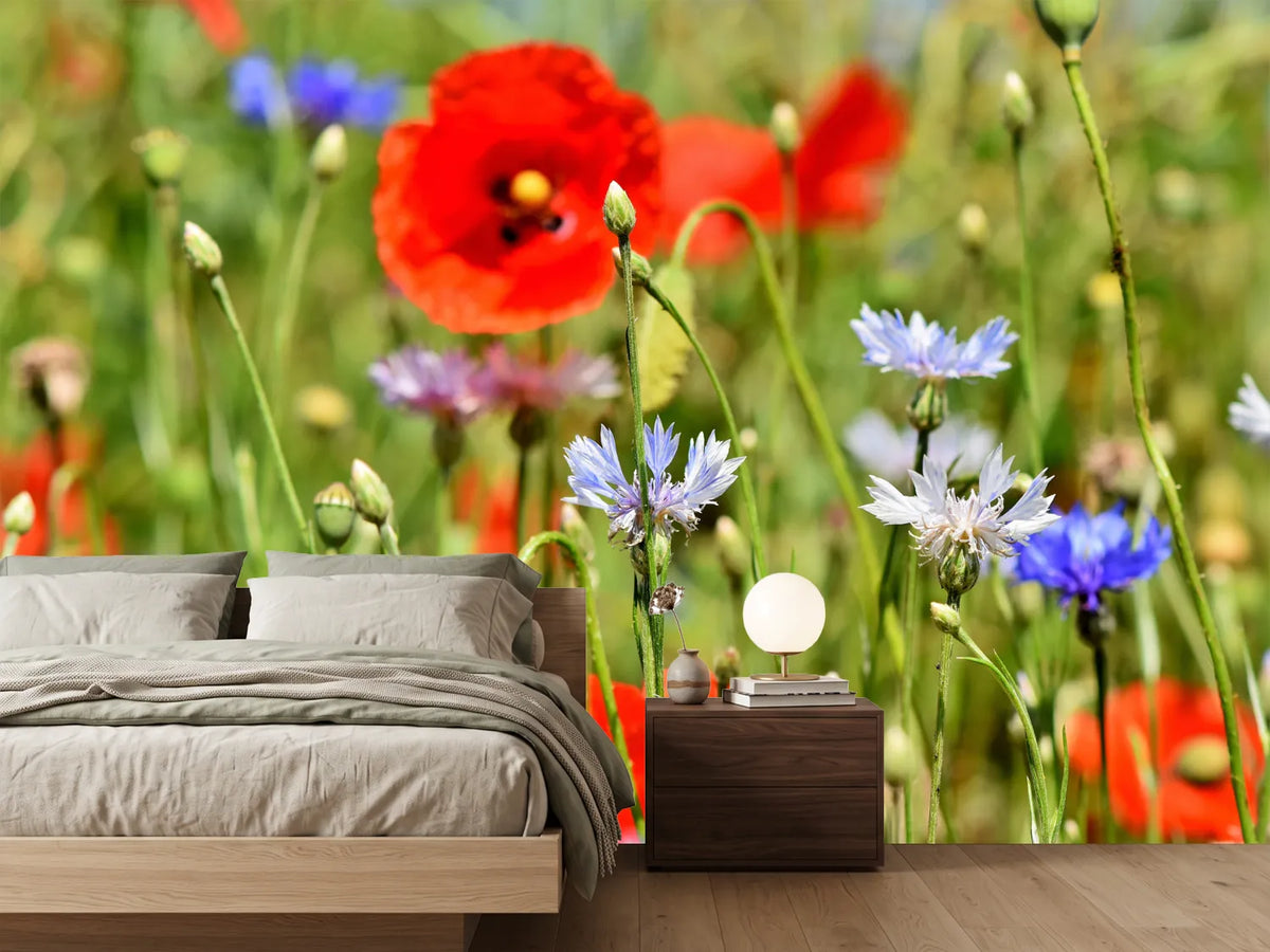 photo-wallpaper-the-wild-poppy-xl