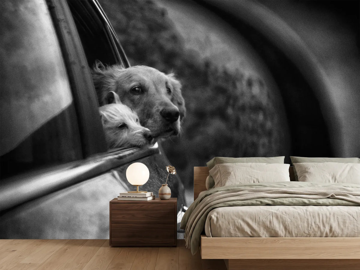 photo-wallpaper-roadtrip-x