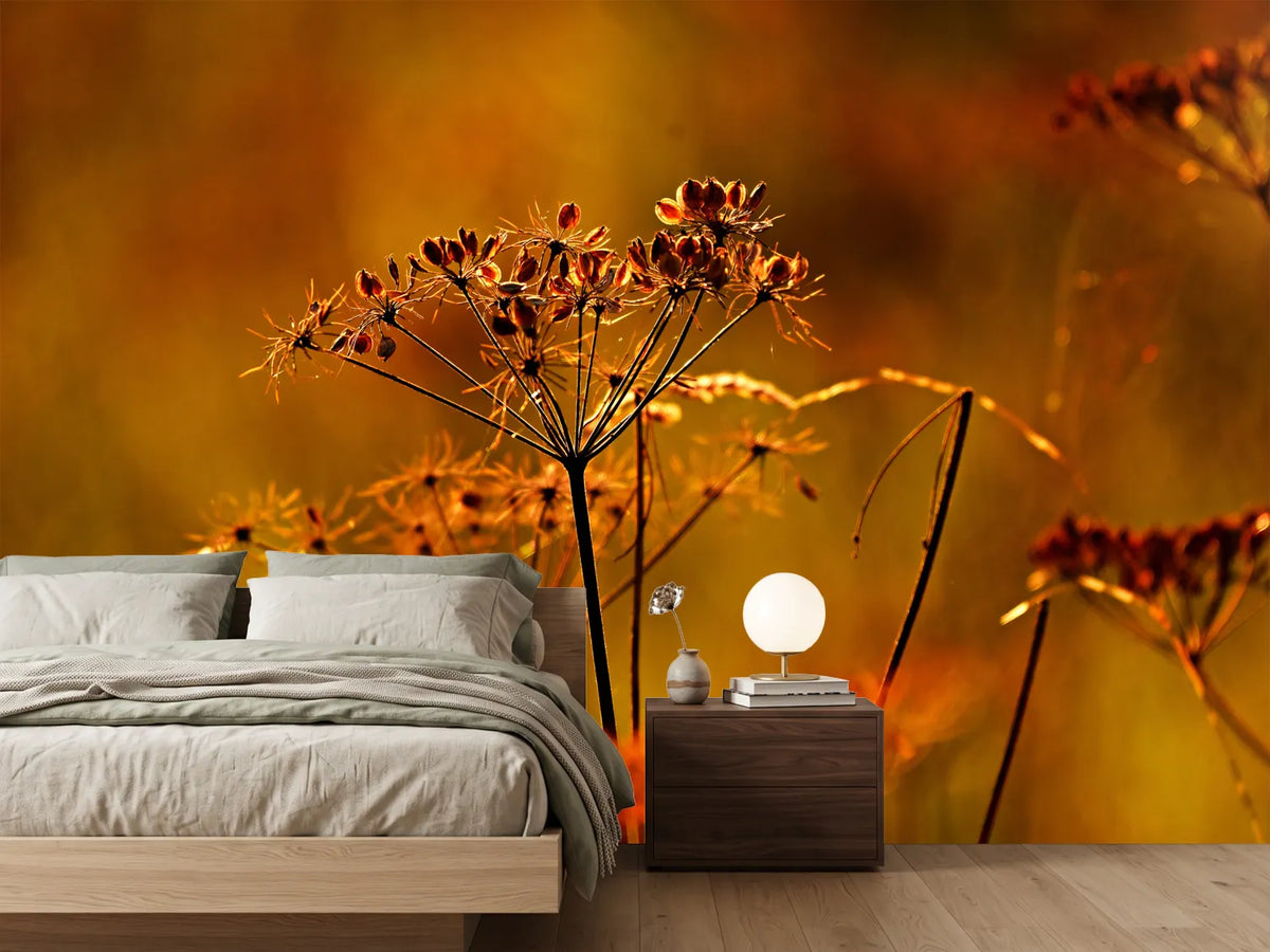 photo-wallpaper-seeds