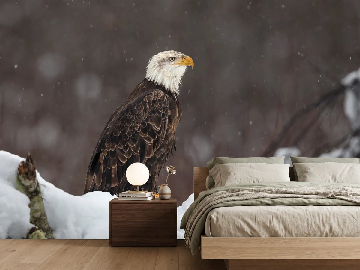 photo-wallpaper-proud-but-cold-x