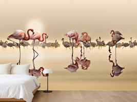 photo-wallpaper-flamingos-x