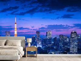 photo-wallpaper-tokyo-night-view