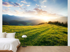 photo-wallpaper-sunset-in-the-mountain-valley-beautiful-natural-landscape-in-the-summer-time-2