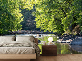 photo-wallpaper-wild-swedish-river-in-september