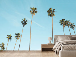 photo-wallpaper-a-sky-full-of-palm-trees