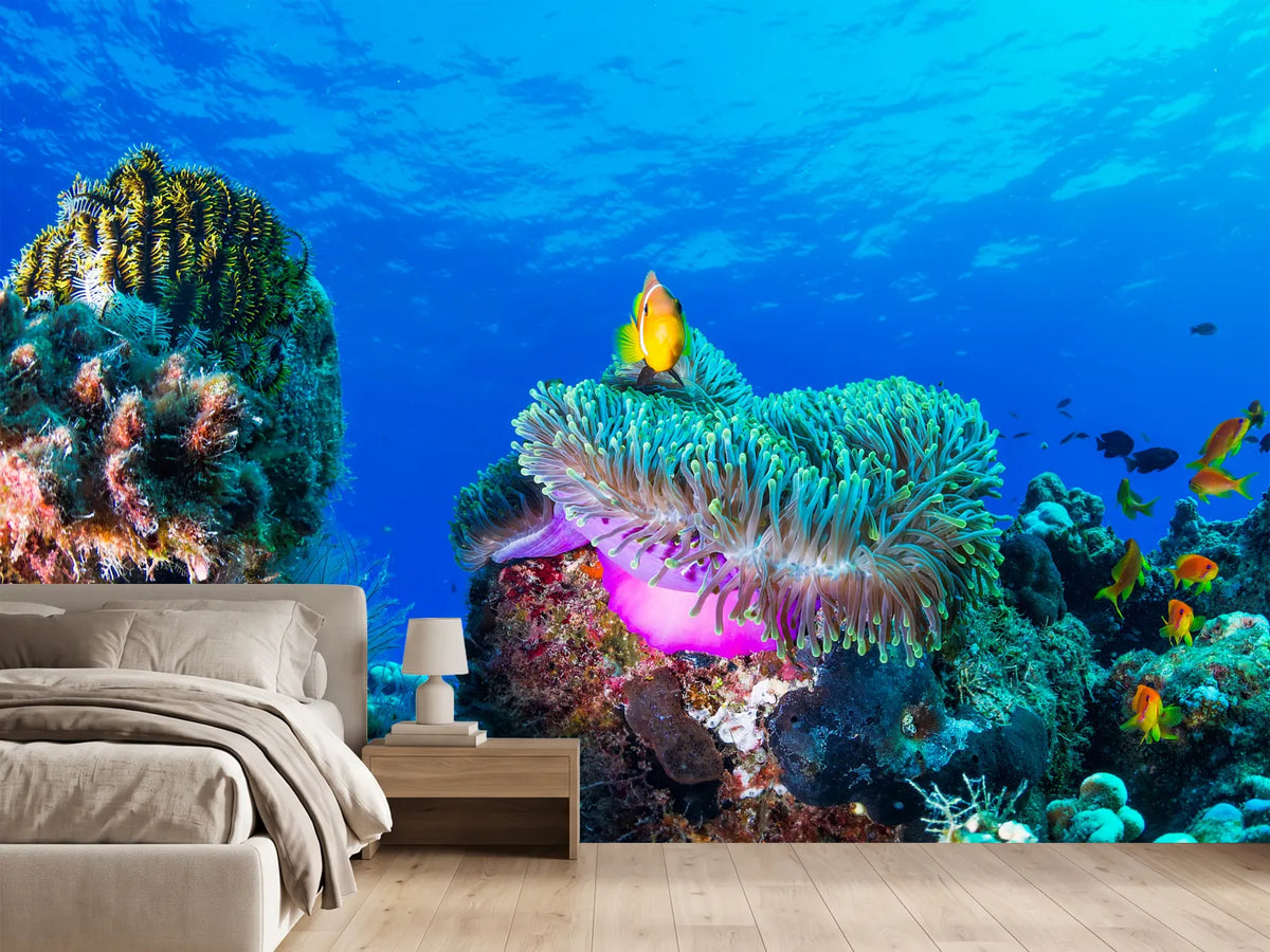 photo-wallpaper-sea-life