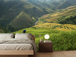 photo-wallpaper-untitled-xi-p