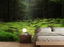 photo-wallpaper-beautiful-and-peaceful-forest-with-green-moss-covering-the-forest-floor
