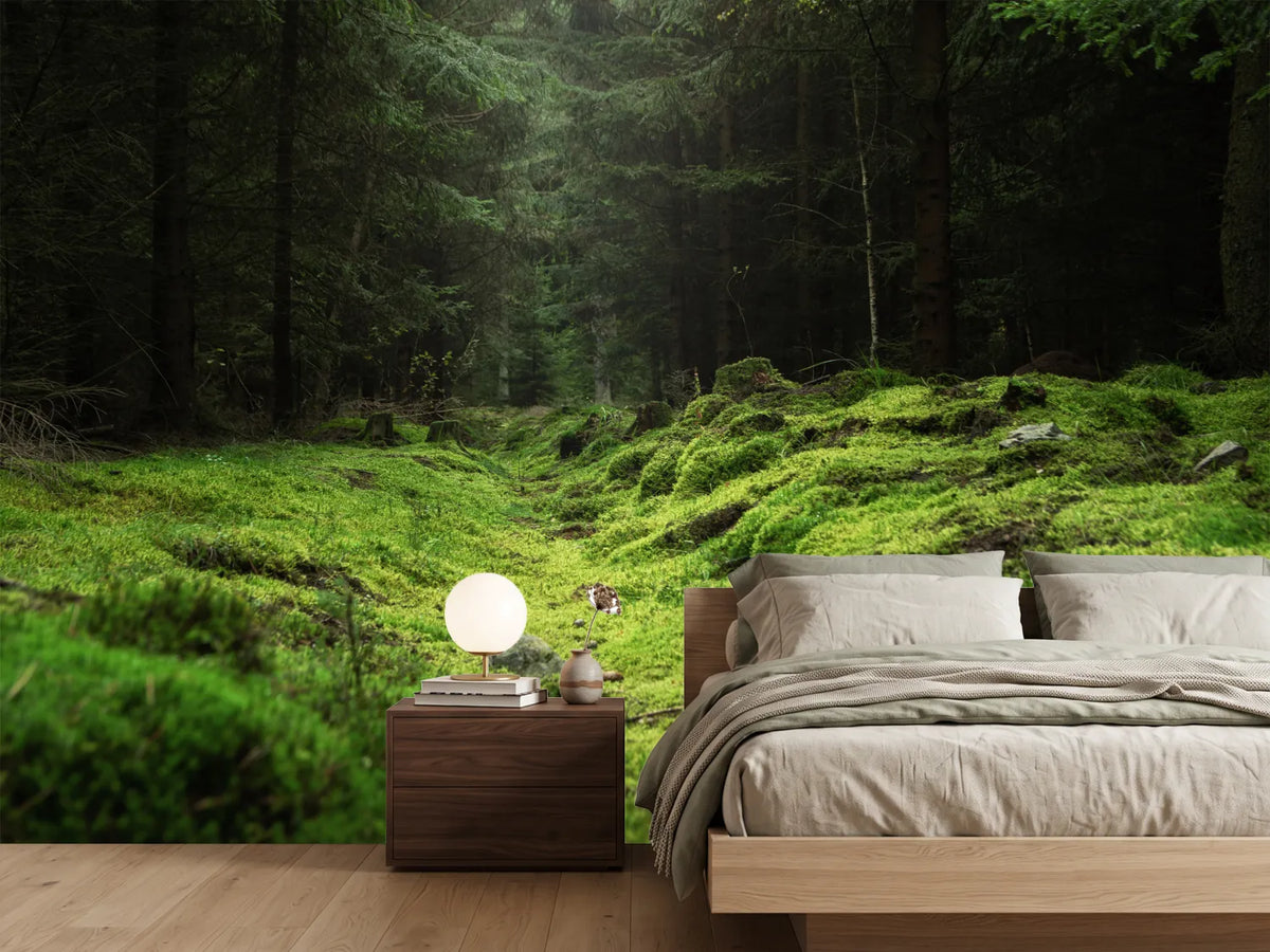 photo-wallpaper-beautiful-and-peaceful-forest-with-green-moss-covering-the-forest-floor