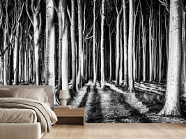 photo-wallpaper-ghost-forest