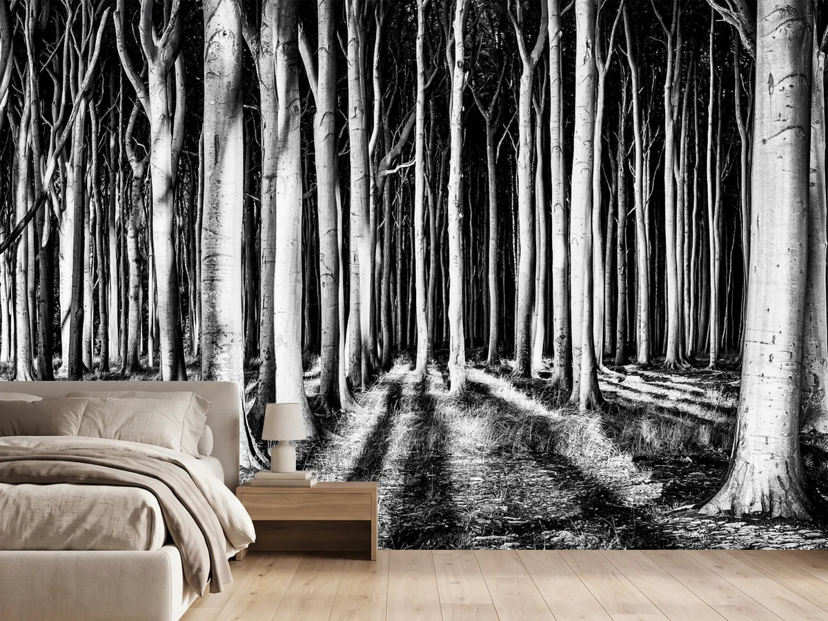 photo-wallpaper-ghost-forest