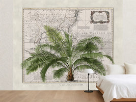photo-wallpaper-vintage-map-palm-tree